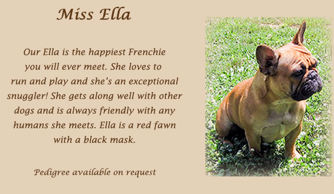 Miss Ella