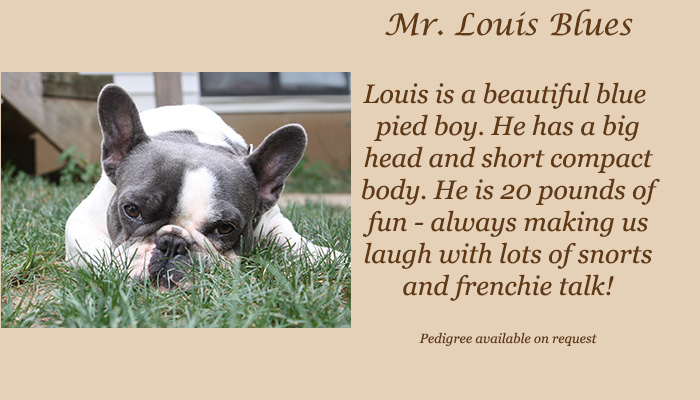 Mr. Louis Blues